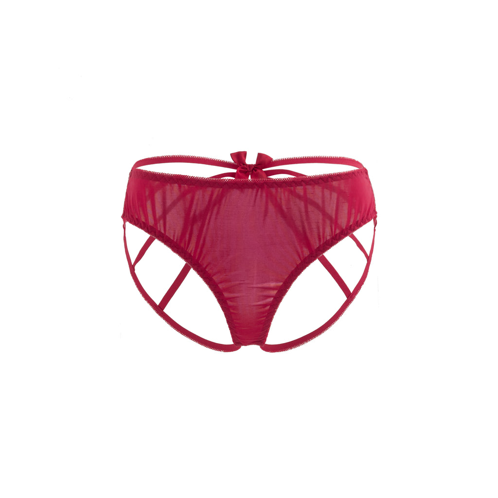 Crimson Whisper Mesh Panty