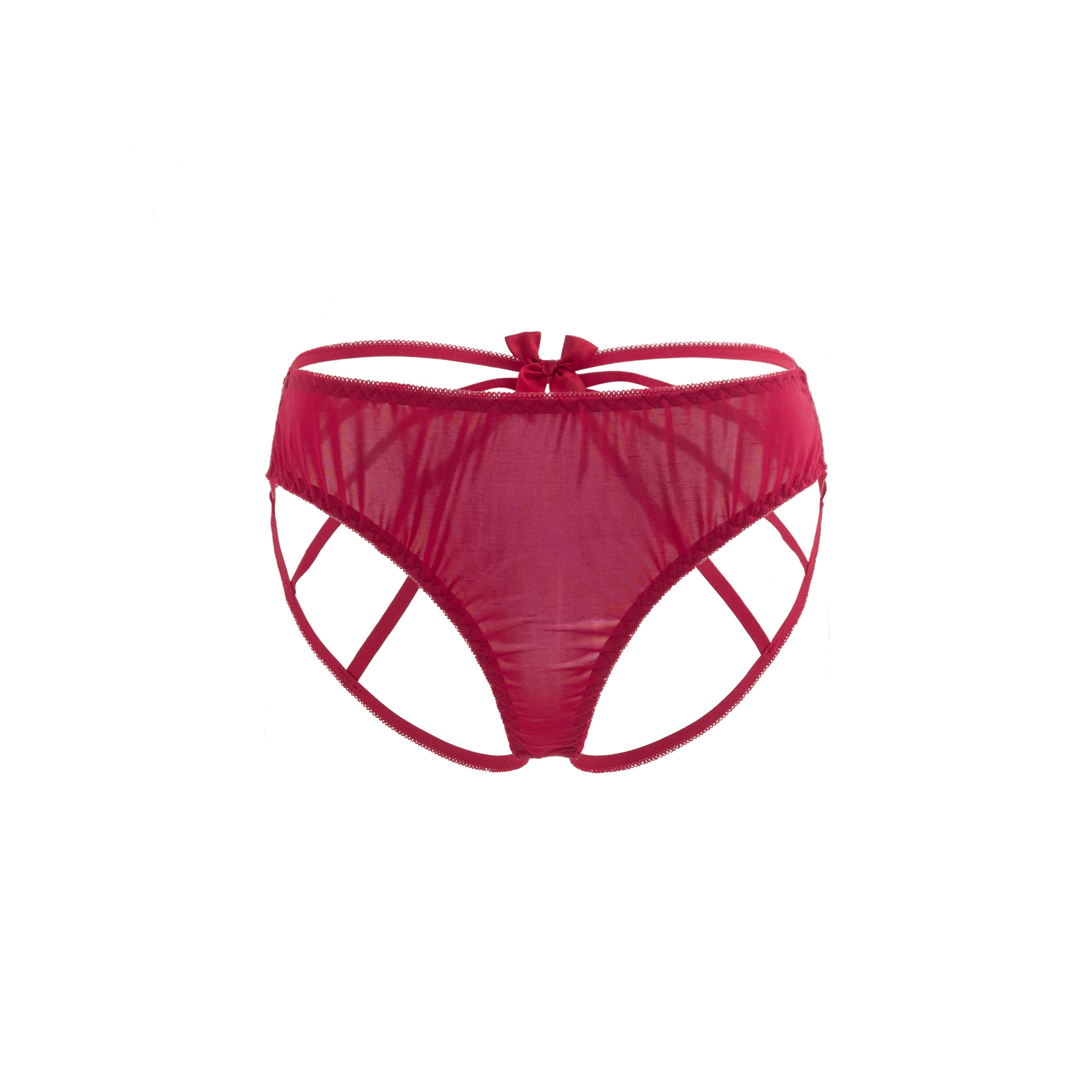 Crimson Whisper Mesh Panty