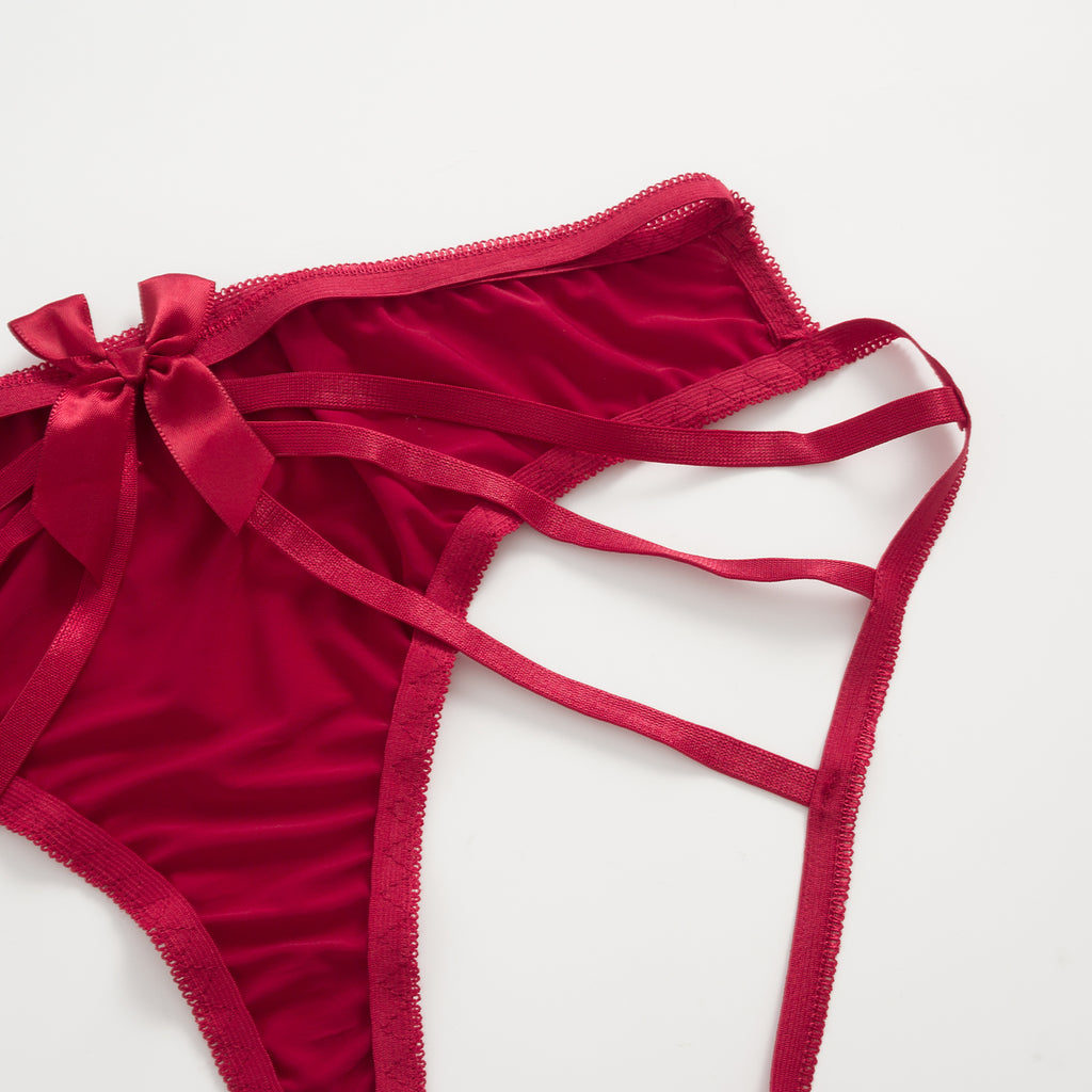 Crimson Whisper Mesh Panty