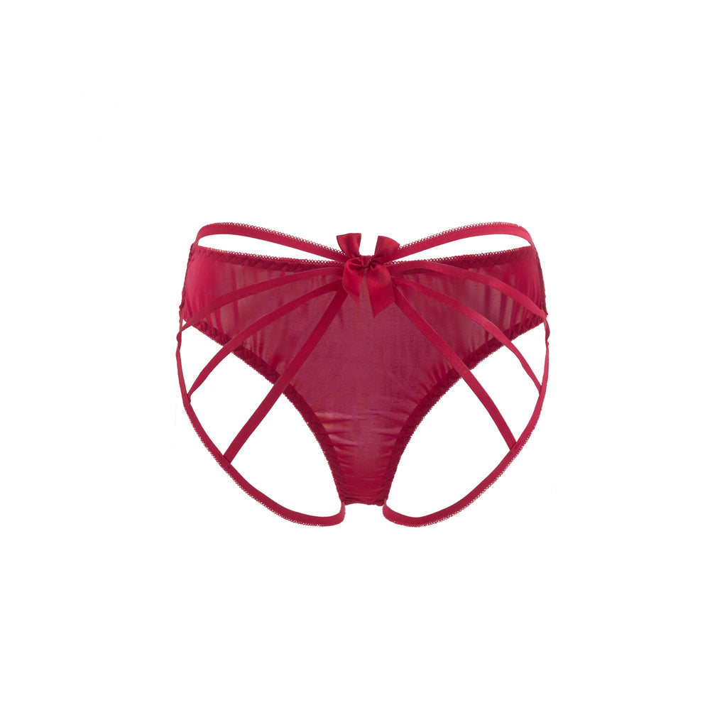 Crimson Whisper Mesh Panty