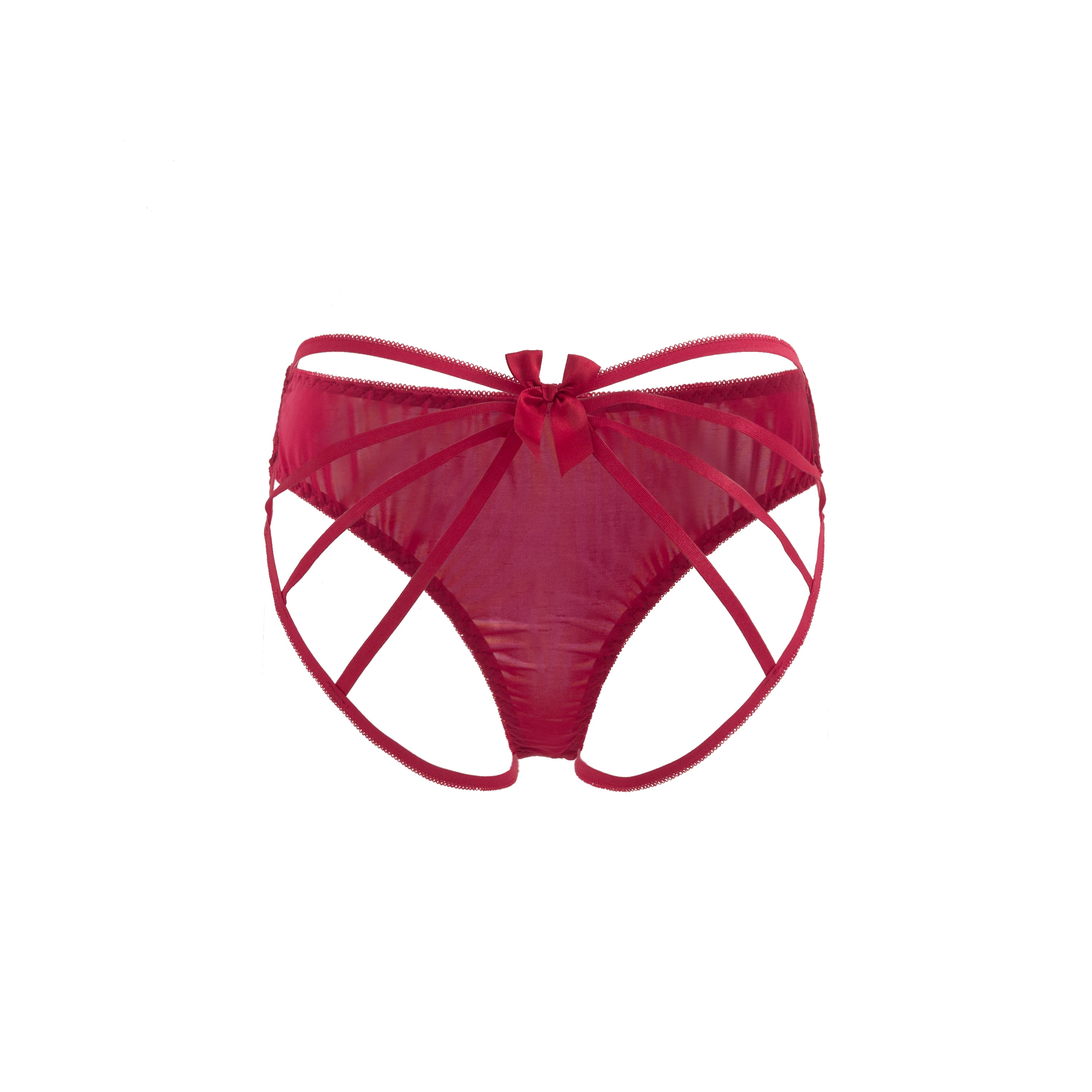 Crimson Whisper Mesh Panty