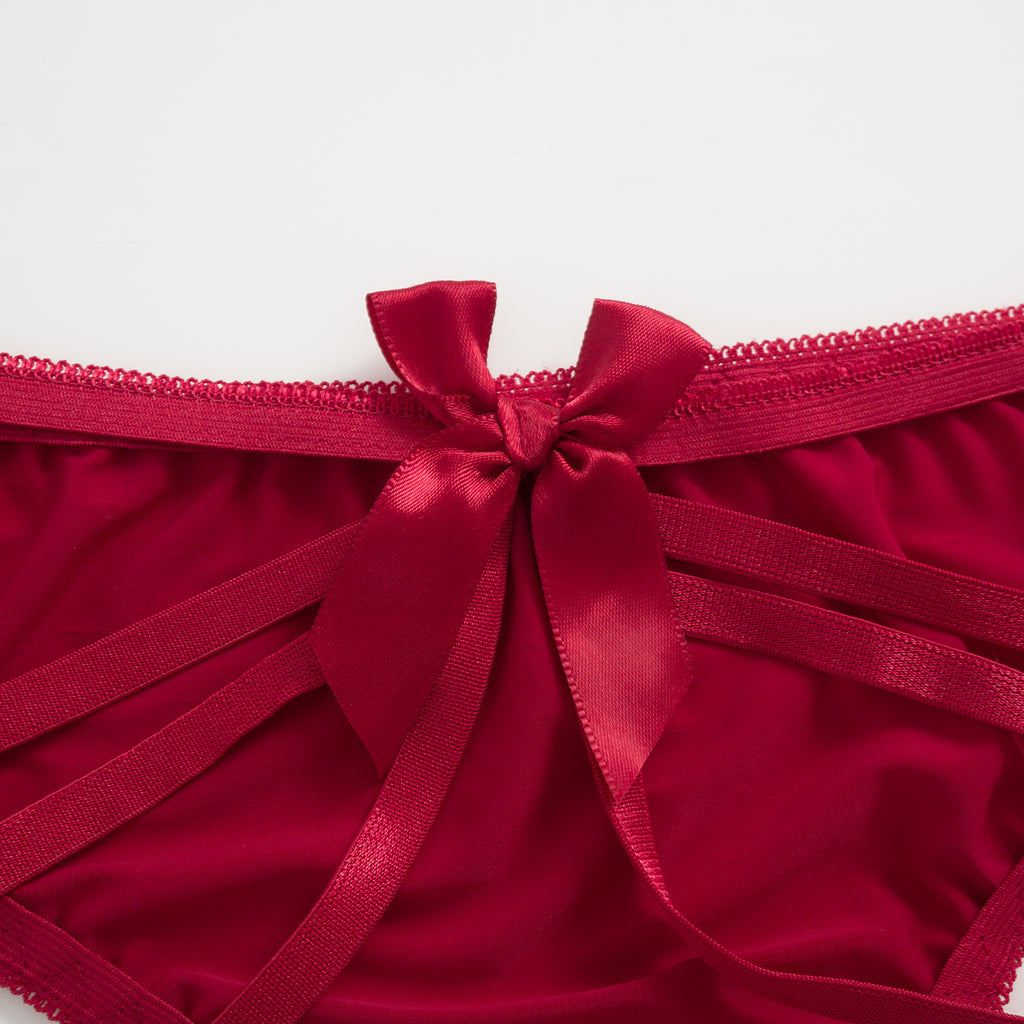 Crimson Whisper Mesh Panty