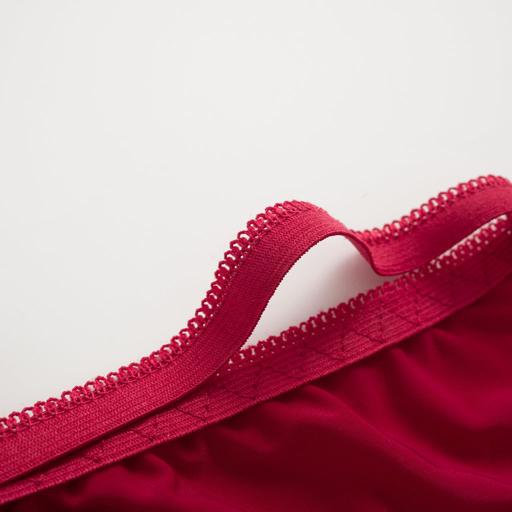 Crimson Whisper Mesh Panty