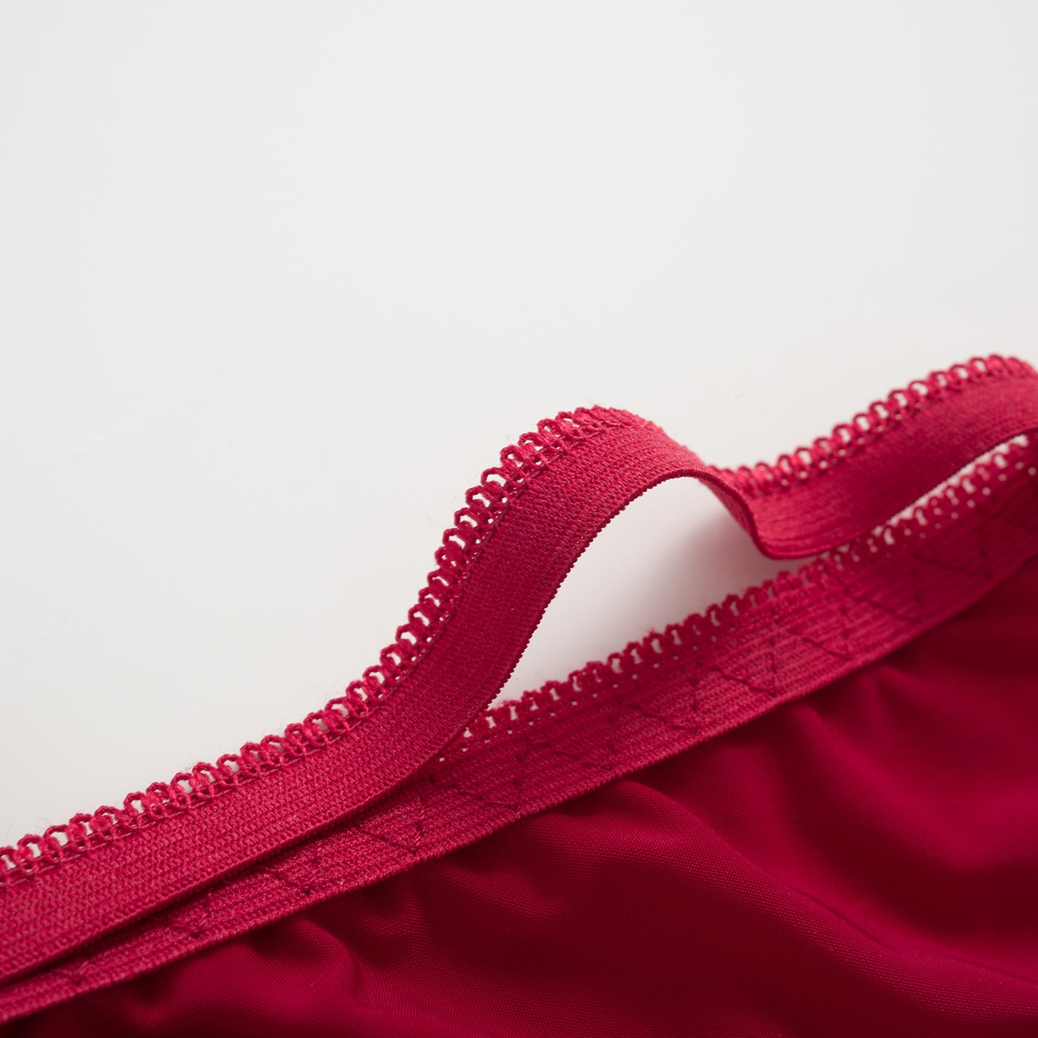 Crimson Whisper Mesh Panty