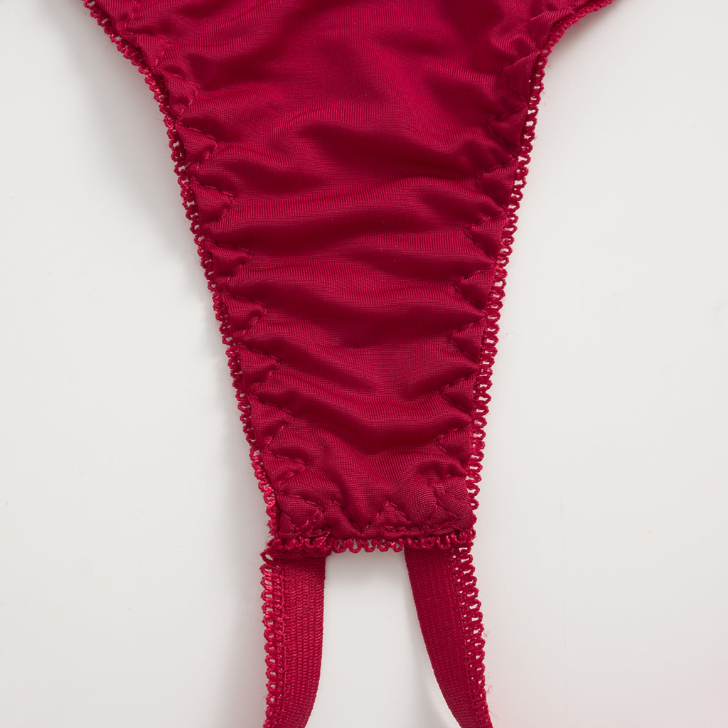 Crimson Whisper Mesh Panty