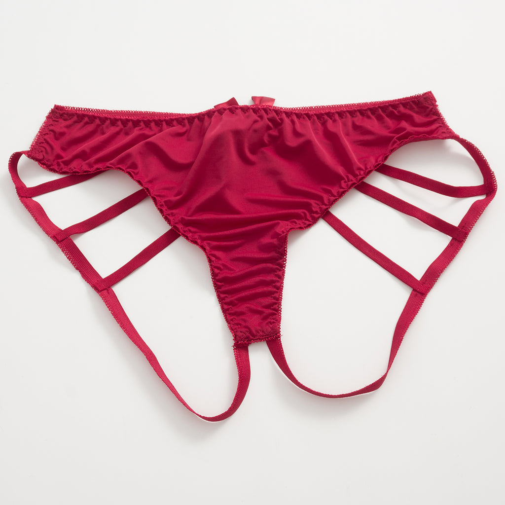 Crimson Whisper Mesh Panty